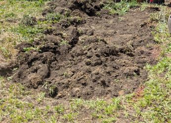 Fill dirt for free in Milton