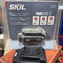 Skil  Battery New 