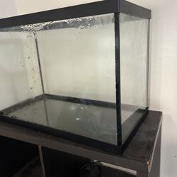 3 Fish Tank Bunch Of Supplies