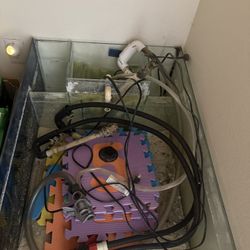 Aquarium Low Boy Frag Tank Saltwater Reef