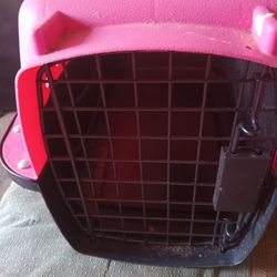 Pet Carrier 