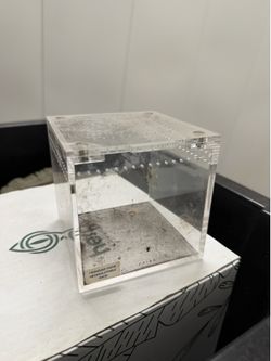 Tarantula crib