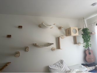 CAT WALL (3 Pieces)