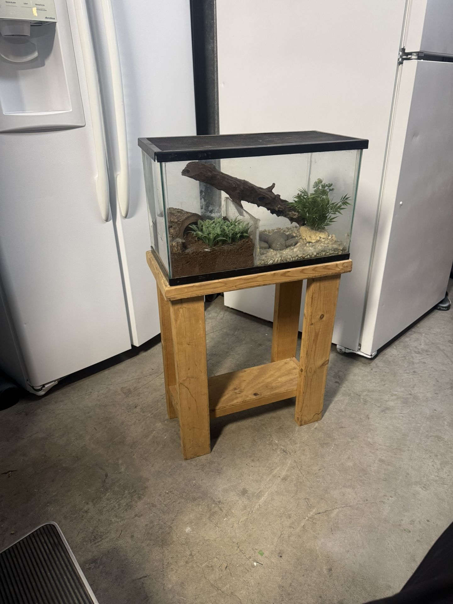 Frog Terrarium