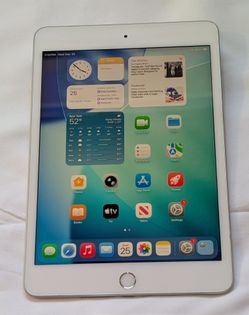 VERY NICE APPLE iPad MINI 5 64GB  LOW PRICE iOS26