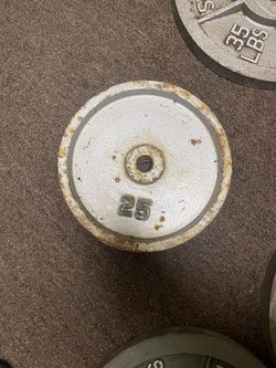 25lb Gym Plate