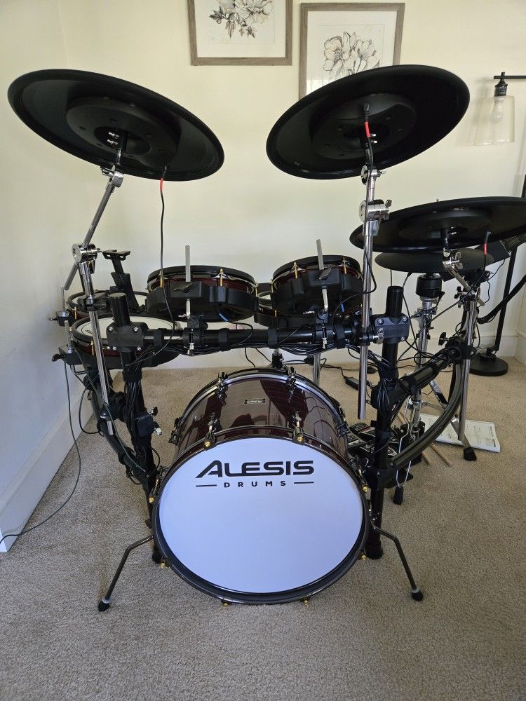 Alesis Drums