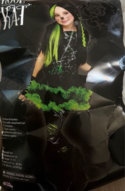 Kool Kay costume