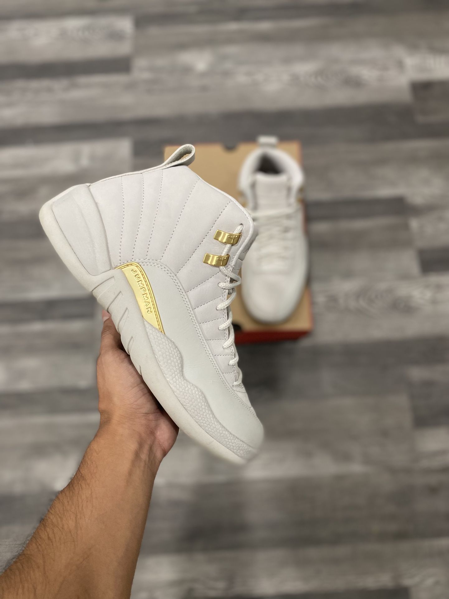 Jordan 12 Phantom