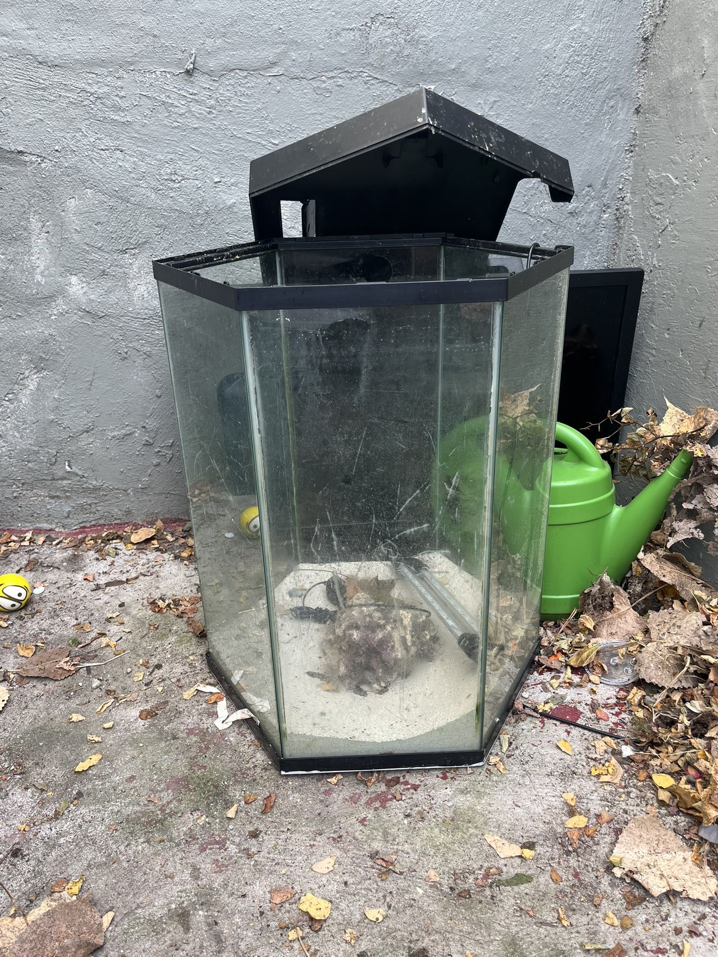 Hexagon Tank