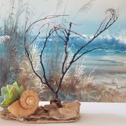 Beautiful Sea Shell Creation Artificial Succulent