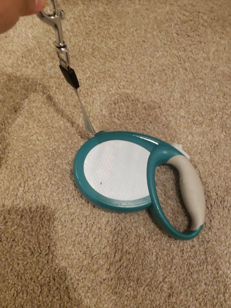 Dog Leash
