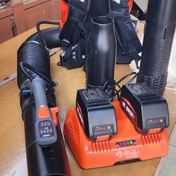 Echo electric leaf blower