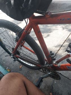 Mongoose