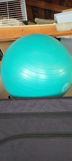 The Birth Ball Still Forsale