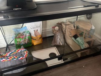 hamster supplies bundle