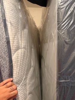 Queen Mattress & Wood Box Spring