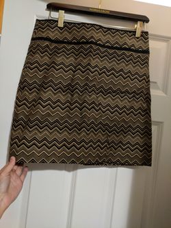 Ann Taylor skirt sz 2 new with tags