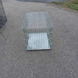 Dog Crate