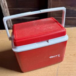 Mini Cooler Red
