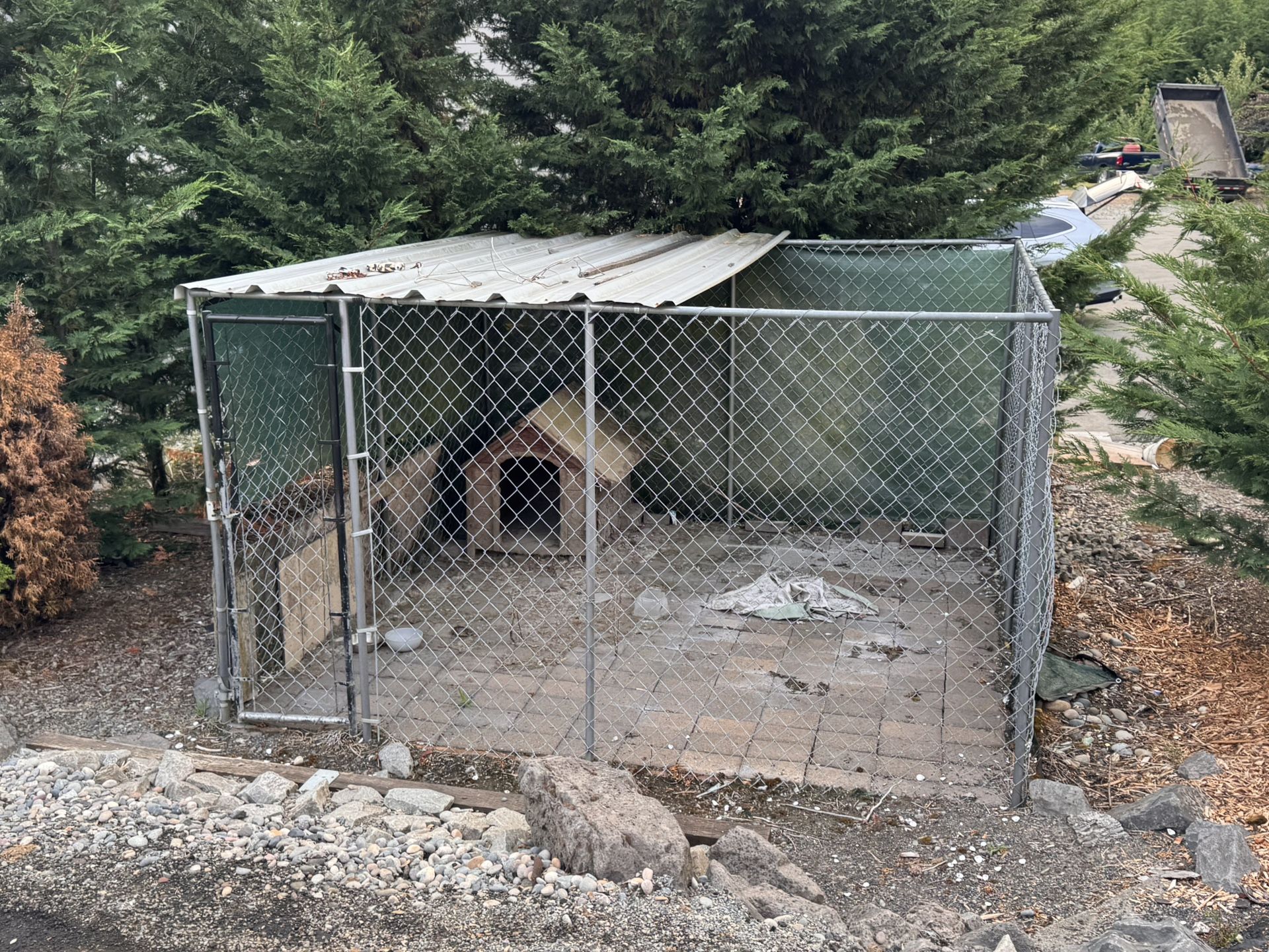 10x10’ Chain-Link Dog Kennel with Roof
