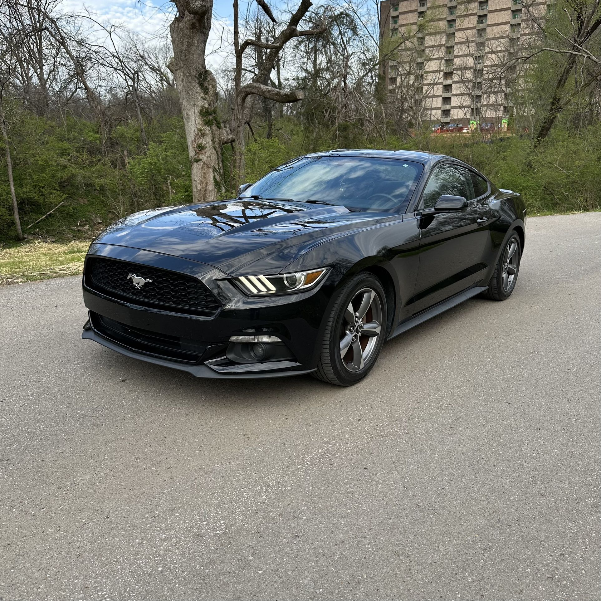 2015 Ford Mustang