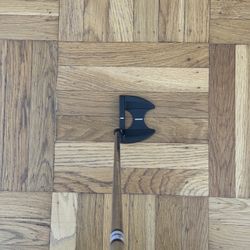 Pinkseeker Center Fire VIII - Mallet Putter
