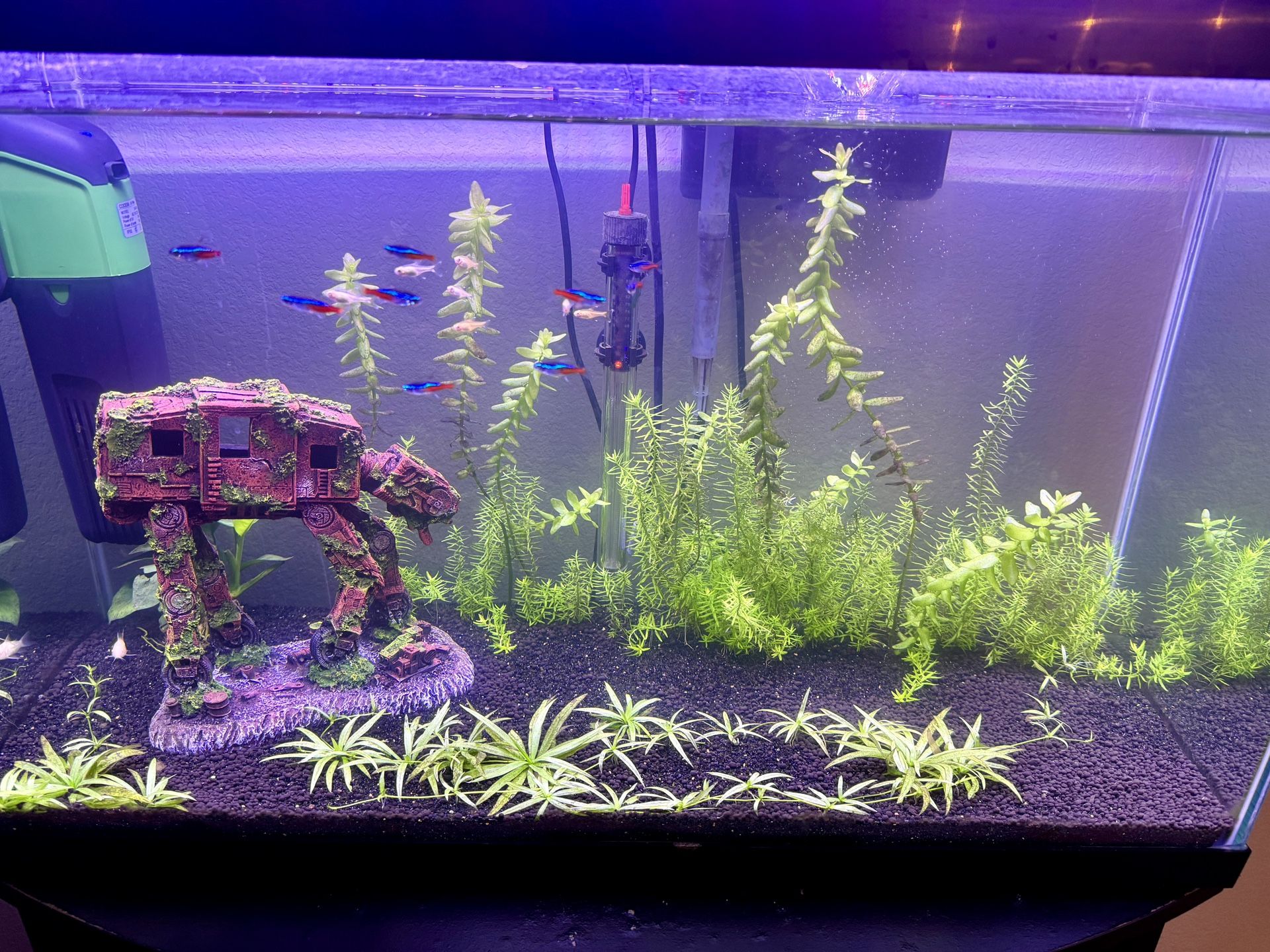 29 G. Fish Tank Aquarium 