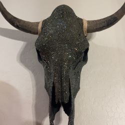 Bull Skull