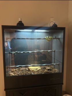 Reptile tank