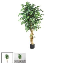 Pottery Barn Faux Ficus Tree