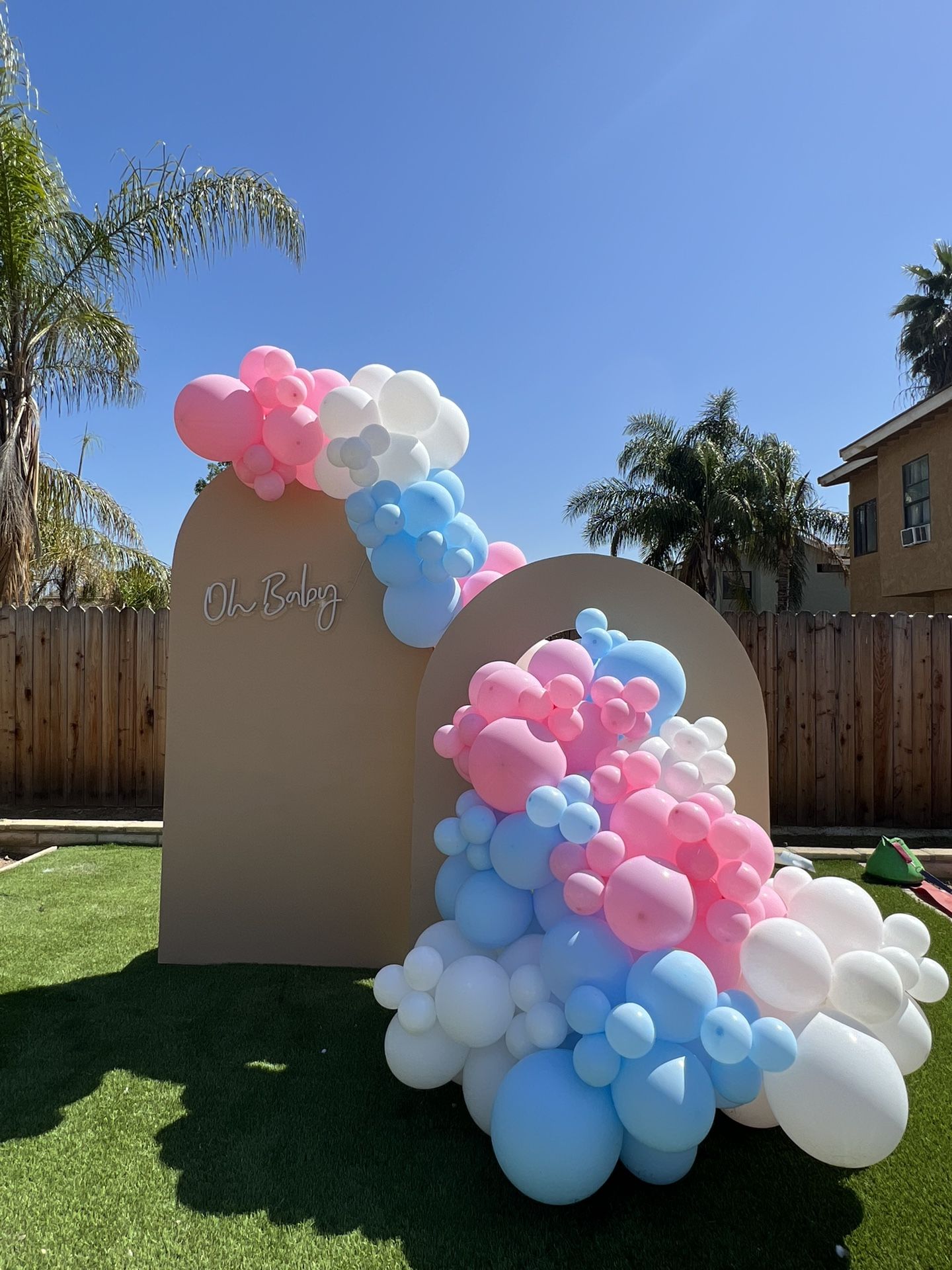 Gender Reveal Decorations 