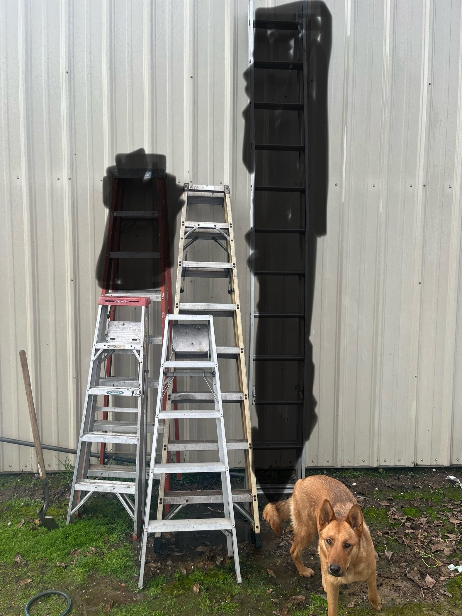 3 Ladders $100 For All