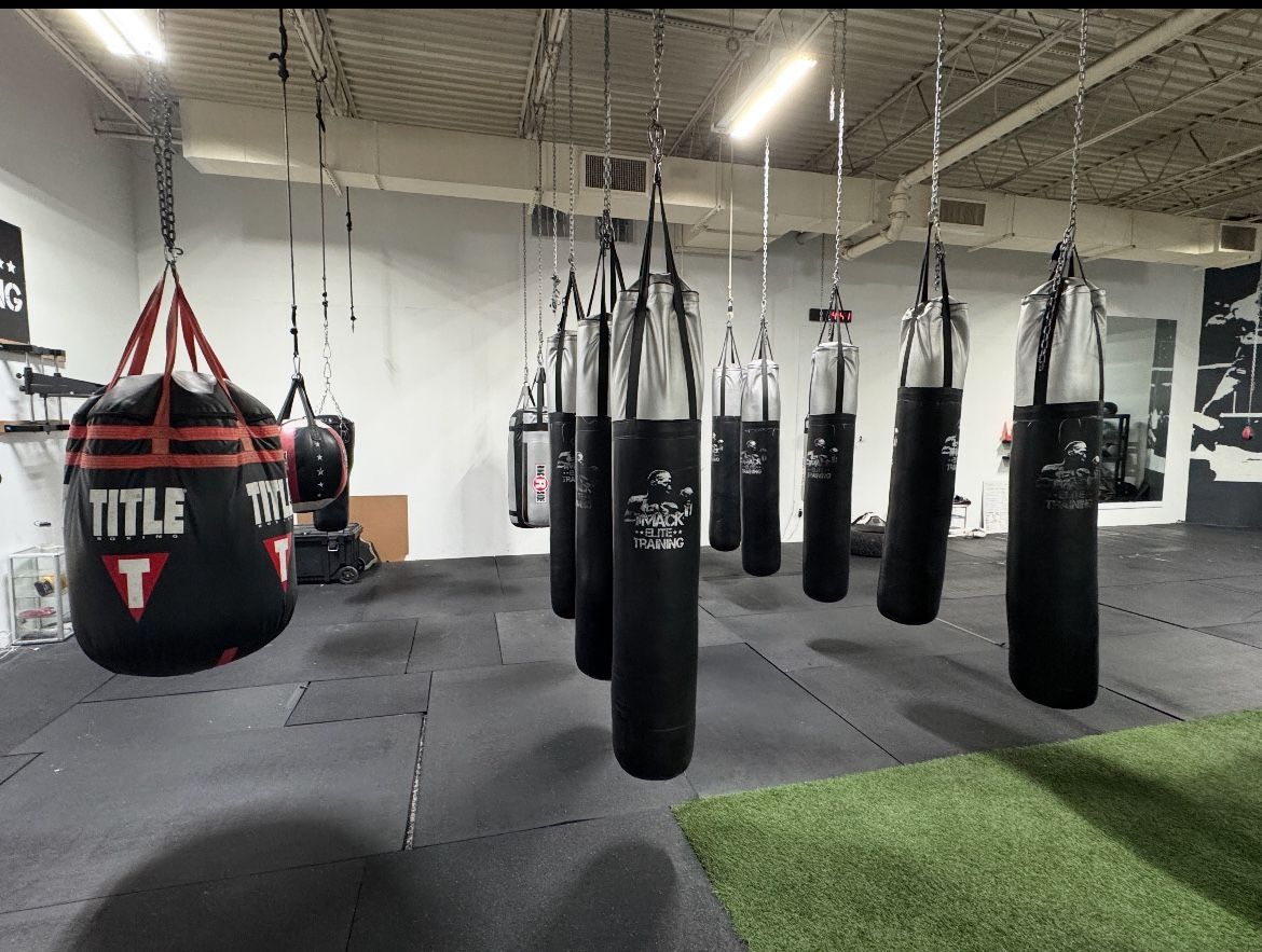 Boxing Bags