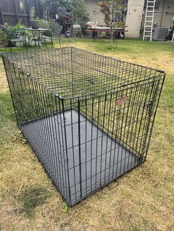 Dog Crate