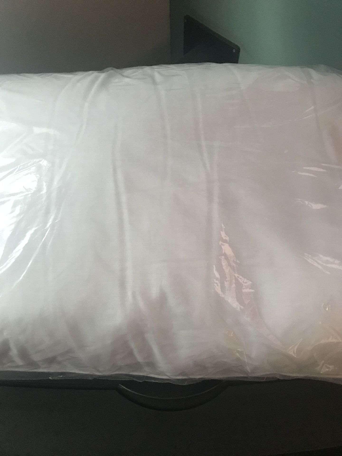 1 Envirosleep Dream Surrender 2 Standard Pillow