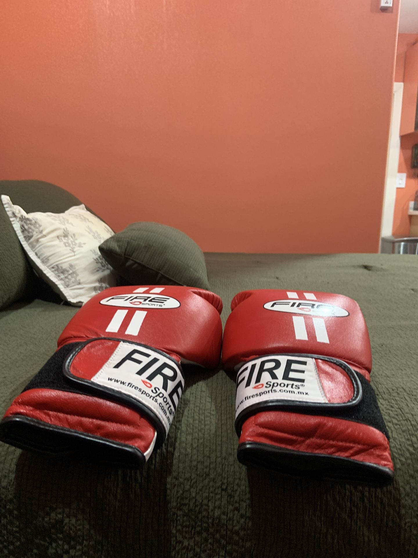 Fighting Gloves