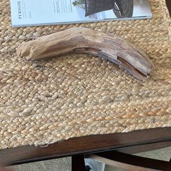 Driftwood-Pacific coast