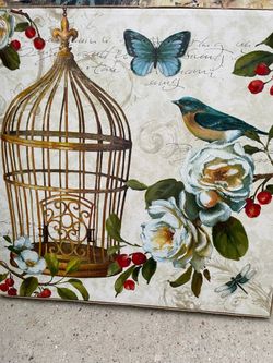 Art  bird cage canvas