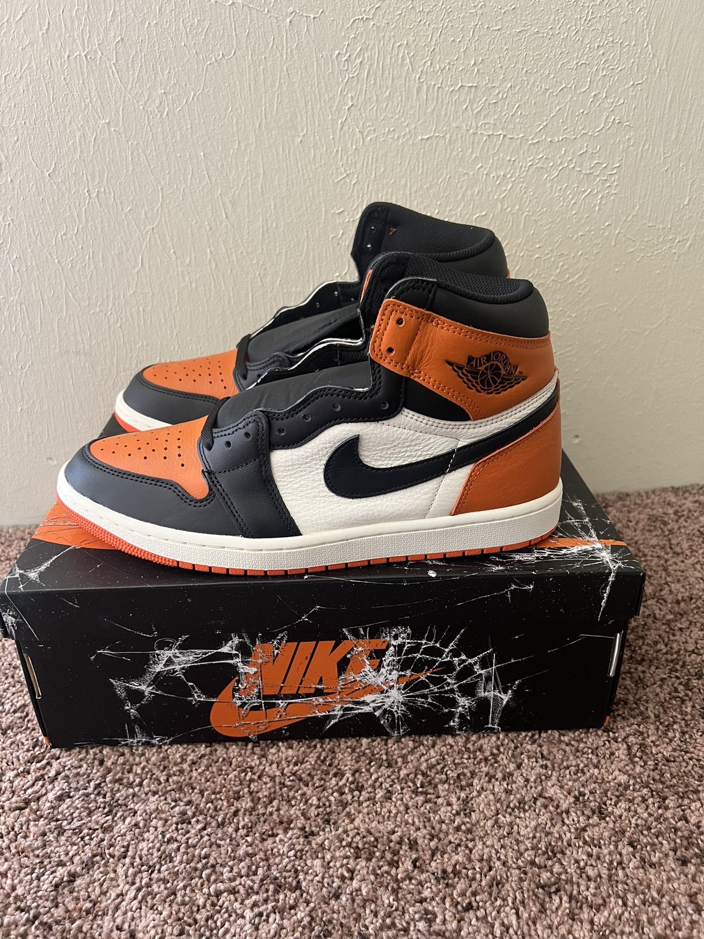 Nike Jordan 1 Shattered Backboard DS SZ 10.5 