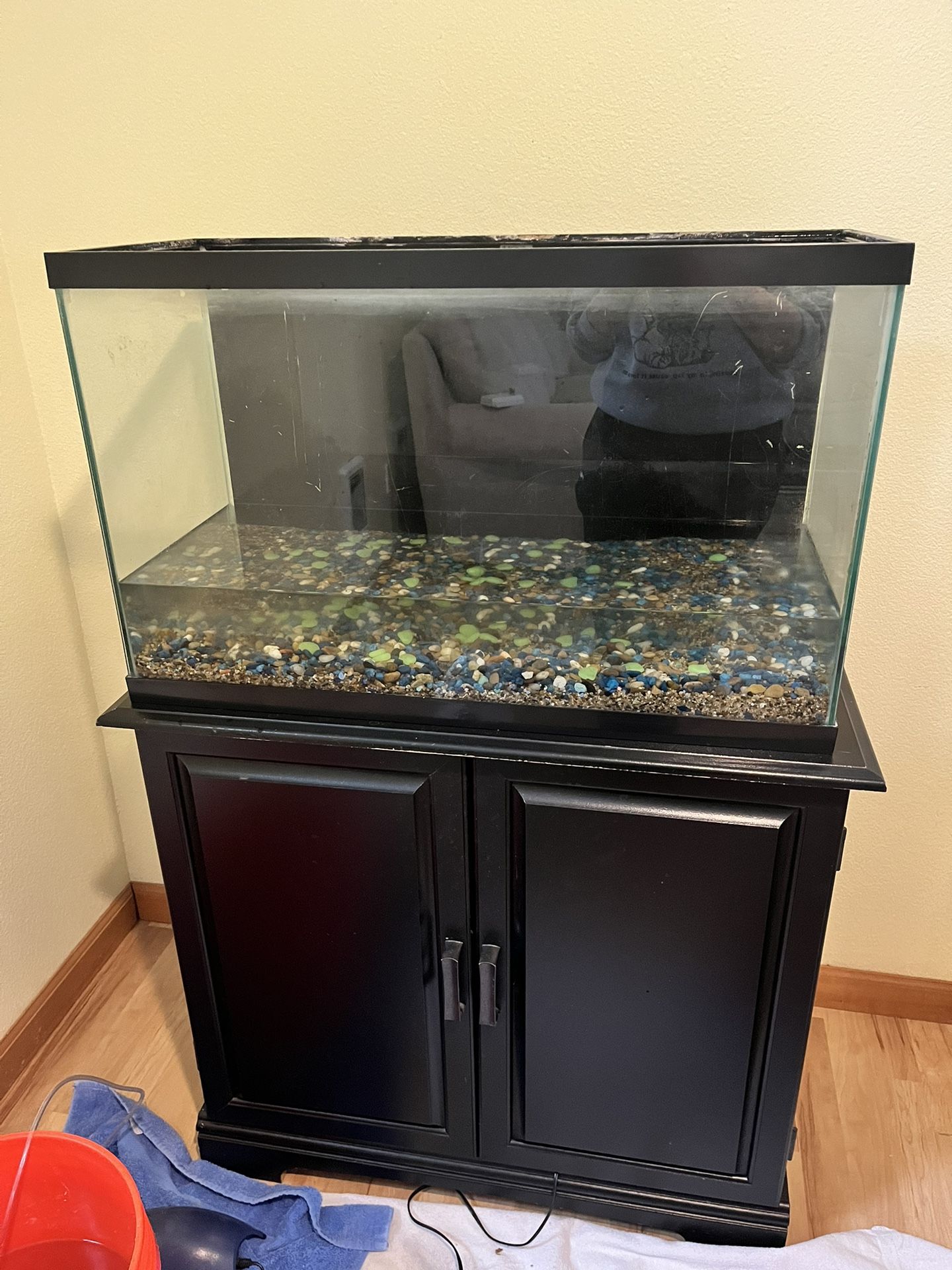 29 Gallon Tank And Stand