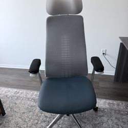 Haworth Fern With Atlas Headrest