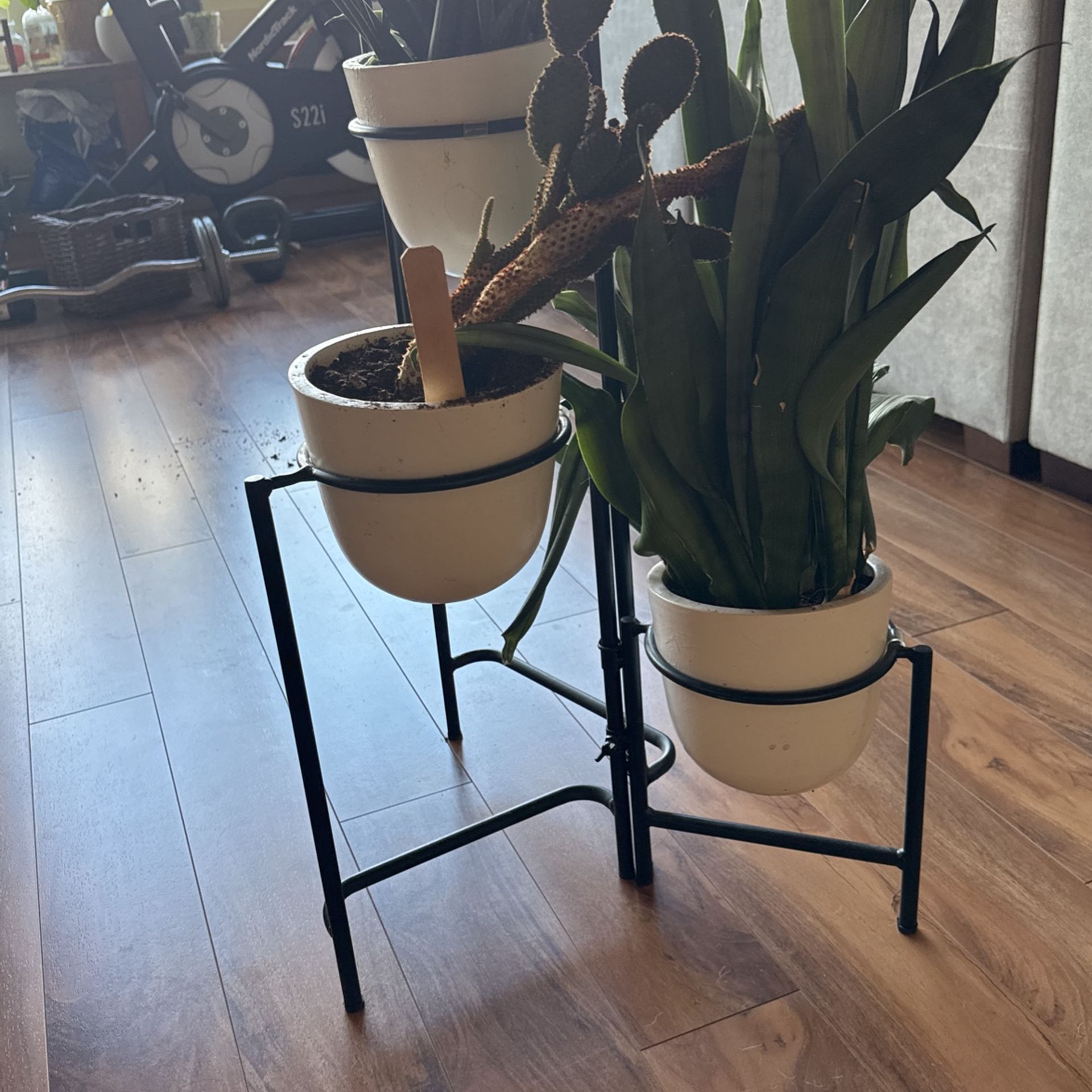 Plant Holder + 3 Plants 