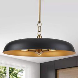 Pendant light brand new