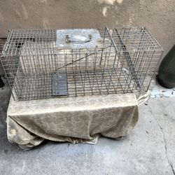 Animal trap