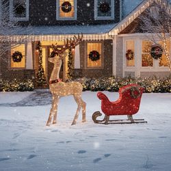2 PC Lighted Buck & Sleigh Set