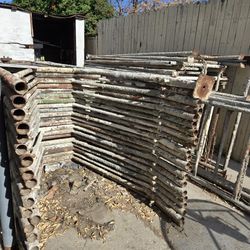 Scaffolds