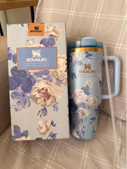 Insulated Cup