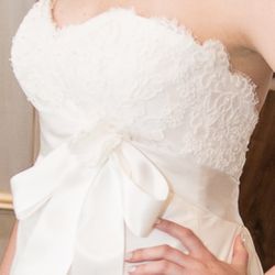 Paloma Blanca Designer Collection Wedding Dress