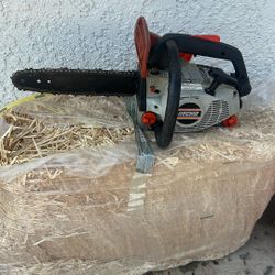 Chain Saw Echo